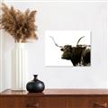 Picture of Spotted Bull  _GroupedProduct_Rectangle_Landscape_Photography _GroupedProduct_Rectangle_Landscape_Unframed_Print_Only_