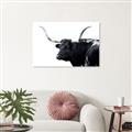 Picture of Spotted Bull  _GroupedProduct_Rectangle_Landscape_Photography _GroupedProduct_Rectangle_Landscape_Unframed_Print_Only_
