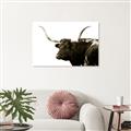 Picture of Spotted Bull  _GroupedProduct_Rectangle_Landscape_Photography _GroupedProduct_Rectangle_Landscape_Unframed_Print_Only_