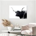 Picture of Spotted Bull  _GroupedProduct_Rectangle_Landscape_Photography _GroupedProduct_Rectangle_Landscape_Unframed_Print_Only_