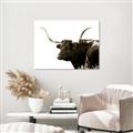 Picture of Spotted Bull  _GroupedProduct_Rectangle_Landscape_Photography _GroupedProduct_Rectangle_Landscape_Unframed_Print_Only_