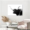 Picture of Spotted Bull  _GroupedProduct_Rectangle_Landscape_Photography _GroupedProduct_Rectangle_Landscape_Unframed_Print_Only_