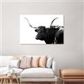 Picture of Spotted Bull  _GroupedProduct_Rectangle_Landscape_Photography _GroupedProduct_Rectangle_Landscape_Unframed_Print_Only_