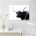 Picture of Spotted Bull  _GroupedProduct_Rectangle_Landscape_Photography _GroupedProduct_Rectangle_Landscape_Unframed_Print_Only_