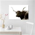 Picture of Spotted Bull  _GroupedProduct_Rectangle_Landscape_Photography _GroupedProduct_Rectangle_Landscape_Unframed_Print_Only_