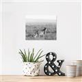 Picture of Spotted in the Savanna  _GroupedProduct_Rectangle_Landscape_Photography _GroupedProduct_Rectangle_Landscape_Unframed_Print_Only_