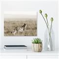 Picture of Spotted in the Savanna  _GroupedProduct_Rectangle_Landscape_Photography _GroupedProduct_Rectangle_Landscape_Unframed_Print_Only_