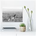 Picture of Spotted in the Savanna  _GroupedProduct_Rectangle_Landscape_Photography _GroupedProduct_Rectangle_Landscape_Unframed_Print_Only_