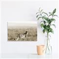 Picture of Spotted in the Savanna  _GroupedProduct_Rectangle_Landscape_Photography _GroupedProduct_Rectangle_Landscape_Unframed_Print_Only_