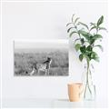 Picture of Spotted in the Savanna  _GroupedProduct_Rectangle_Landscape_Photography _GroupedProduct_Rectangle_Landscape_Unframed_Print_Only_