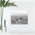 Picture of Spotted in the Savanna  _GroupedProduct_Rectangle_Landscape_Photography _GroupedProduct_Rectangle_Landscape_Unframed_Print_Only_