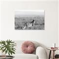 Picture of Spotted in the Savanna  _GroupedProduct_Rectangle_Landscape_Photography _GroupedProduct_Rectangle_Landscape_Unframed_Print_Only_
