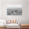 Picture of Spotted in the Savanna  _GroupedProduct_Rectangle_Landscape_Photography _GroupedProduct_Rectangle_Landscape_Unframed_Print_Only_