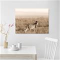 Picture of Spotted in the Savanna  _GroupedProduct_Rectangle_Landscape_Photography _GroupedProduct_Rectangle_Landscape_Unframed_Print_Only_