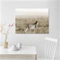 Picture of Spotted in the Savanna  _GroupedProduct_Rectangle_Landscape_Photography _GroupedProduct_Rectangle_Landscape_Unframed_Print_Only_