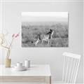 Picture of Spotted in the Savanna  _GroupedProduct_Rectangle_Landscape_Photography _GroupedProduct_Rectangle_Landscape_Unframed_Print_Only_