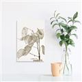 Picture of Sprout & Jar _GroupedProduct_Rectangle_Portrait_Photography _GroupedProduct_Rectangle_Portrait_Unframed_Print_Only_