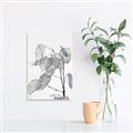 Picture of Sprout & Jar _GroupedProduct_Rectangle_Portrait_Photography _GroupedProduct_Rectangle_Portrait_Unframed_Print_Only_