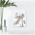 Picture of Sprout & Jar _GroupedProduct_Rectangle_Portrait_Photography _GroupedProduct_Rectangle_Portrait_Unframed_Print_Only_