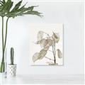 Picture of Sprout & Jar _GroupedProduct_Rectangle_Portrait_Photography _GroupedProduct_Rectangle_Portrait_Unframed_Print_Only_