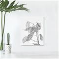 Picture of Sprout & Jar _GroupedProduct_Rectangle_Portrait_Photography _GroupedProduct_Rectangle_Portrait_Unframed_Print_Only_