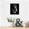 Picture of Stallion _GroupedProduct_Rectangle_Portrait_Photography _GroupedProduct_Rectangle_Portrait_Unframed_Print_Only_