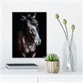 Picture of Stallion _GroupedProduct_Rectangle_Portrait_Photography _GroupedProduct_Rectangle_Portrait_Unframed_Print_Only_