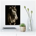 Picture of Stallion _GroupedProduct_Rectangle_Portrait_Photography _GroupedProduct_Rectangle_Portrait_Unframed_Print_Only_