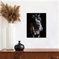 Picture of Stallion _GroupedProduct_Rectangle_Portrait_Photography _GroupedProduct_Rectangle_Portrait_Unframed_Print_Only_
