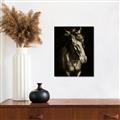 Picture of Stallion _GroupedProduct_Rectangle_Portrait_Photography _GroupedProduct_Rectangle_Portrait_Unframed_Print_Only_