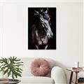 Picture of Stallion _GroupedProduct_Rectangle_Portrait_Photography _GroupedProduct_Rectangle_Portrait_Unframed_Print_Only_