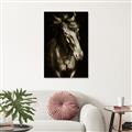 Picture of Stallion _GroupedProduct_Rectangle_Portrait_Photography _GroupedProduct_Rectangle_Portrait_Unframed_Print_Only_