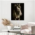 Picture of Stallion _GroupedProduct_Rectangle_Portrait_Photography _GroupedProduct_Rectangle_Portrait_Unframed_Print_Only_