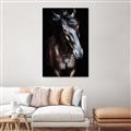 Picture of Stallion _GroupedProduct_Rectangle_Portrait_Photography _GroupedProduct_Rectangle_Portrait_Unframed_Print_Only_