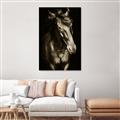Picture of Stallion _GroupedProduct_Rectangle_Portrait_Photography _GroupedProduct_Rectangle_Portrait_Unframed_Print_Only_