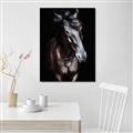 Picture of Stallion _GroupedProduct_Rectangle_Portrait_Photography _GroupedProduct_Rectangle_Portrait_Unframed_Print_Only_
