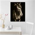 Picture of Stallion _GroupedProduct_Rectangle_Portrait_Photography _GroupedProduct_Rectangle_Portrait_Unframed_Print_Only_