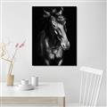 Picture of Stallion _GroupedProduct_Rectangle_Portrait_Photography _GroupedProduct_Rectangle_Portrait_Unframed_Print_Only_