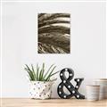 Picture of Sun & Palms  _GroupedProduct_Rectangle_Portrait_Photography _GroupedProduct_Rectangle_Portrait_Unframed_Print_Only_
