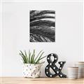 Picture of Sun & Palms  _GroupedProduct_Rectangle_Portrait_Photography _GroupedProduct_Rectangle_Portrait_Unframed_Print_Only_