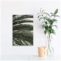 Picture of Sun & Palms  _GroupedProduct_Rectangle_Portrait_Photography _GroupedProduct_Rectangle_Portrait_Unframed_Print_Only_