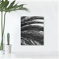 Picture of Sun & Palms  _GroupedProduct_Rectangle_Portrait_Photography _GroupedProduct_Rectangle_Portrait_Unframed_Print_Only_