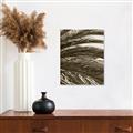 Picture of Sun & Palms  _GroupedProduct_Rectangle_Portrait_Photography _GroupedProduct_Rectangle_Portrait_Unframed_Print_Only_