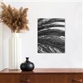 Picture of Sun & Palms  _GroupedProduct_Rectangle_Portrait_Photography _GroupedProduct_Rectangle_Portrait_Unframed_Print_Only_