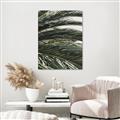Picture of Sun & Palms  _GroupedProduct_Rectangle_Portrait_Photography _GroupedProduct_Rectangle_Portrait_Unframed_Print_Only_