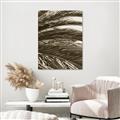 Picture of Sun & Palms  _GroupedProduct_Rectangle_Portrait_Photography _GroupedProduct_Rectangle_Portrait_Unframed_Print_Only_