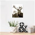 Picture of The Winter Deer _GroupedProduct_Rectangle_Portrait_Photography _GroupedProduct_Rectangle_Portrait_Unframed_Print_Only_