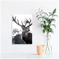Picture of The Winter Deer _GroupedProduct_Rectangle_Portrait_Photography _GroupedProduct_Rectangle_Portrait_Unframed_Print_Only_