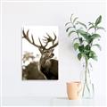 Picture of The Winter Deer _GroupedProduct_Rectangle_Portrait_Photography _GroupedProduct_Rectangle_Portrait_Unframed_Print_Only_