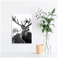 Picture of The Winter Deer _GroupedProduct_Rectangle_Portrait_Photography _GroupedProduct_Rectangle_Portrait_Unframed_Print_Only_